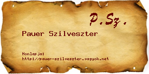 Pauer Szilveszter névjegykártya